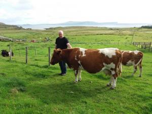 Steven and Hestataing Amber, aged 17 years old. Amber was a prolific prize winner in her day. She still calves every year.