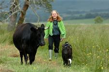 Kate and cow and calf