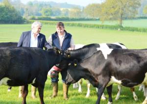 Nigel Darling and Paul Monaghan amongst pedigreed Shetland cows.