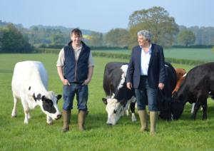 Shetland cows with Simmental X calves